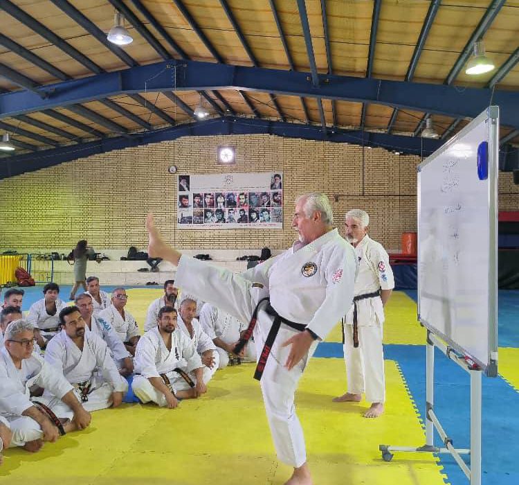 اولین دوره همسان سازی، رتبه بندی و تربیت مدرس کمیته مربیان کاراته برگزار شد