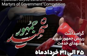 مسابقات بوکس گرامیداشت شهید جمهور 25 خرداد ماه برگزار میشود